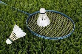 Badminton image