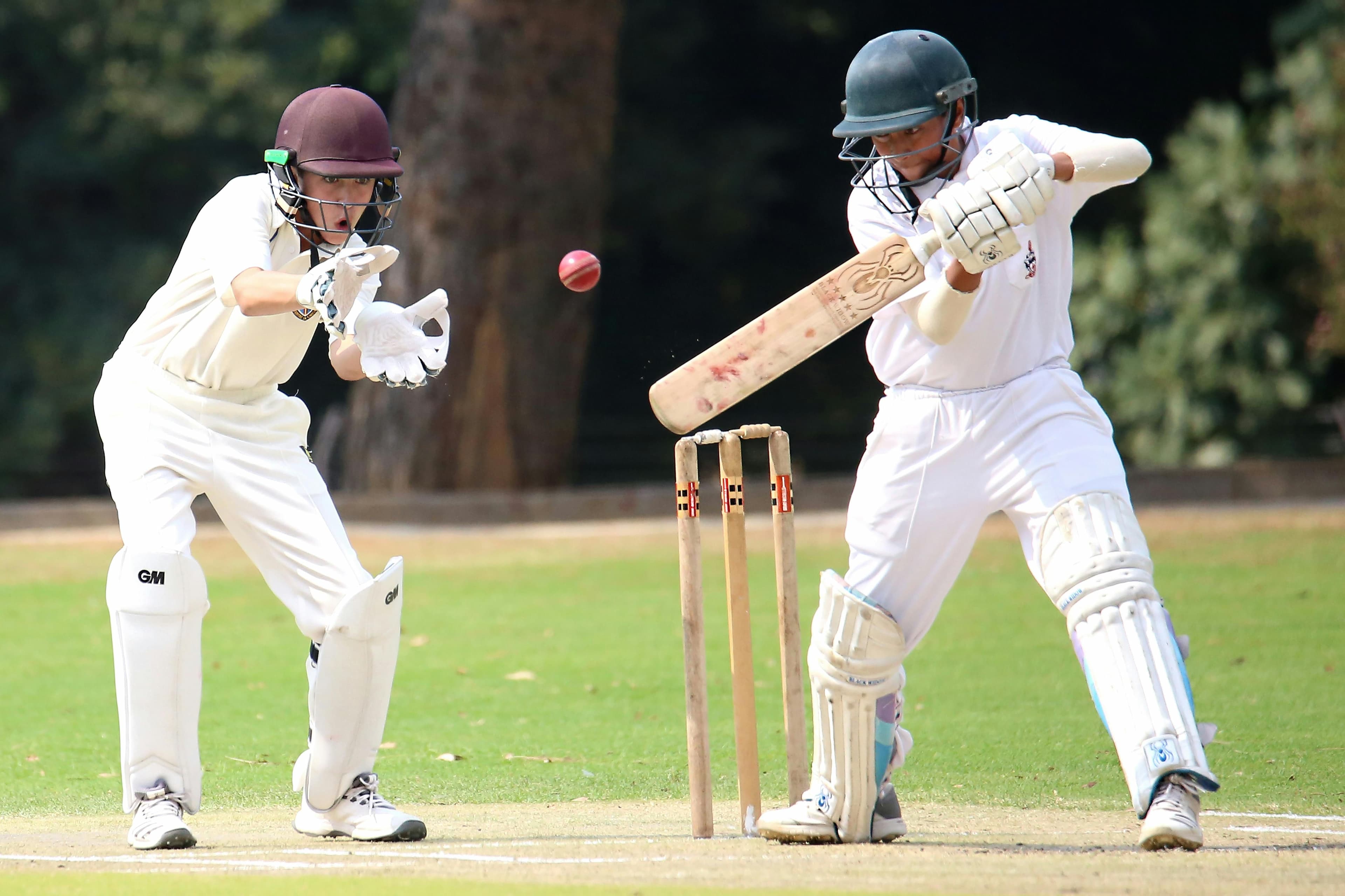 Cricket image