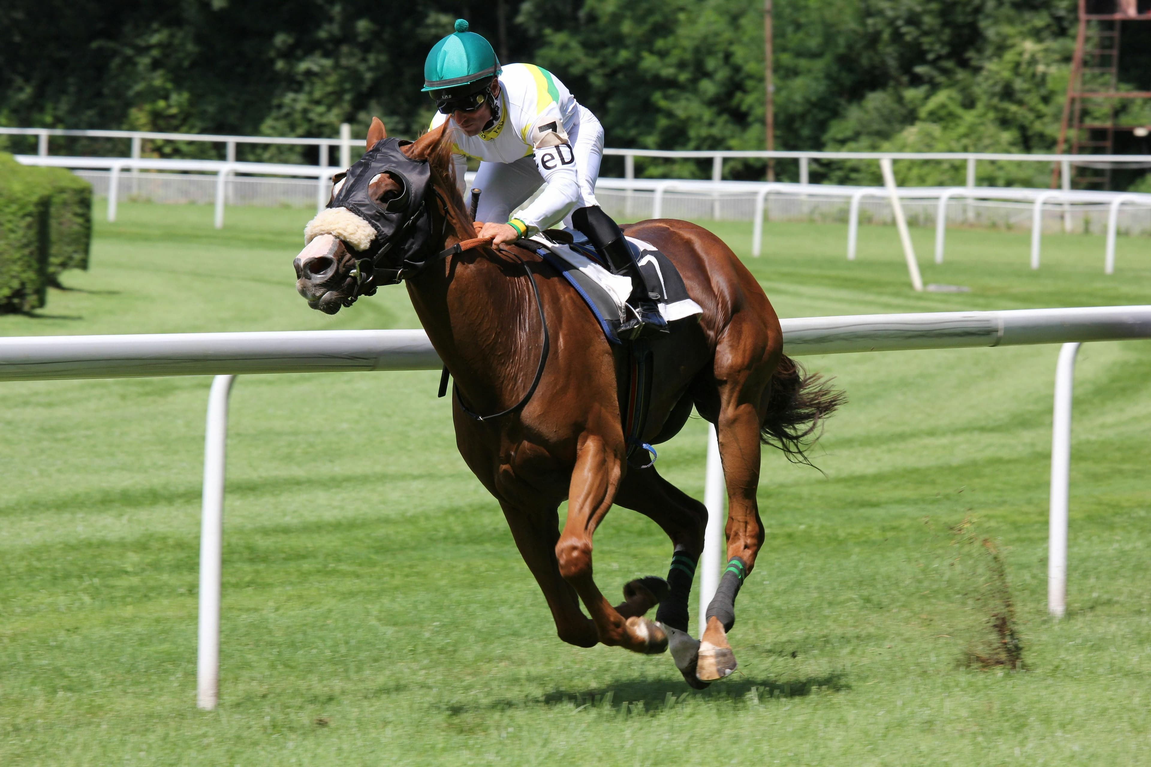 Equestrian image