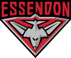 #82 Essendon Football Club image