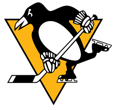 #41 Pittsburgh Penguins image