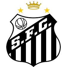 #66 Santos FC image