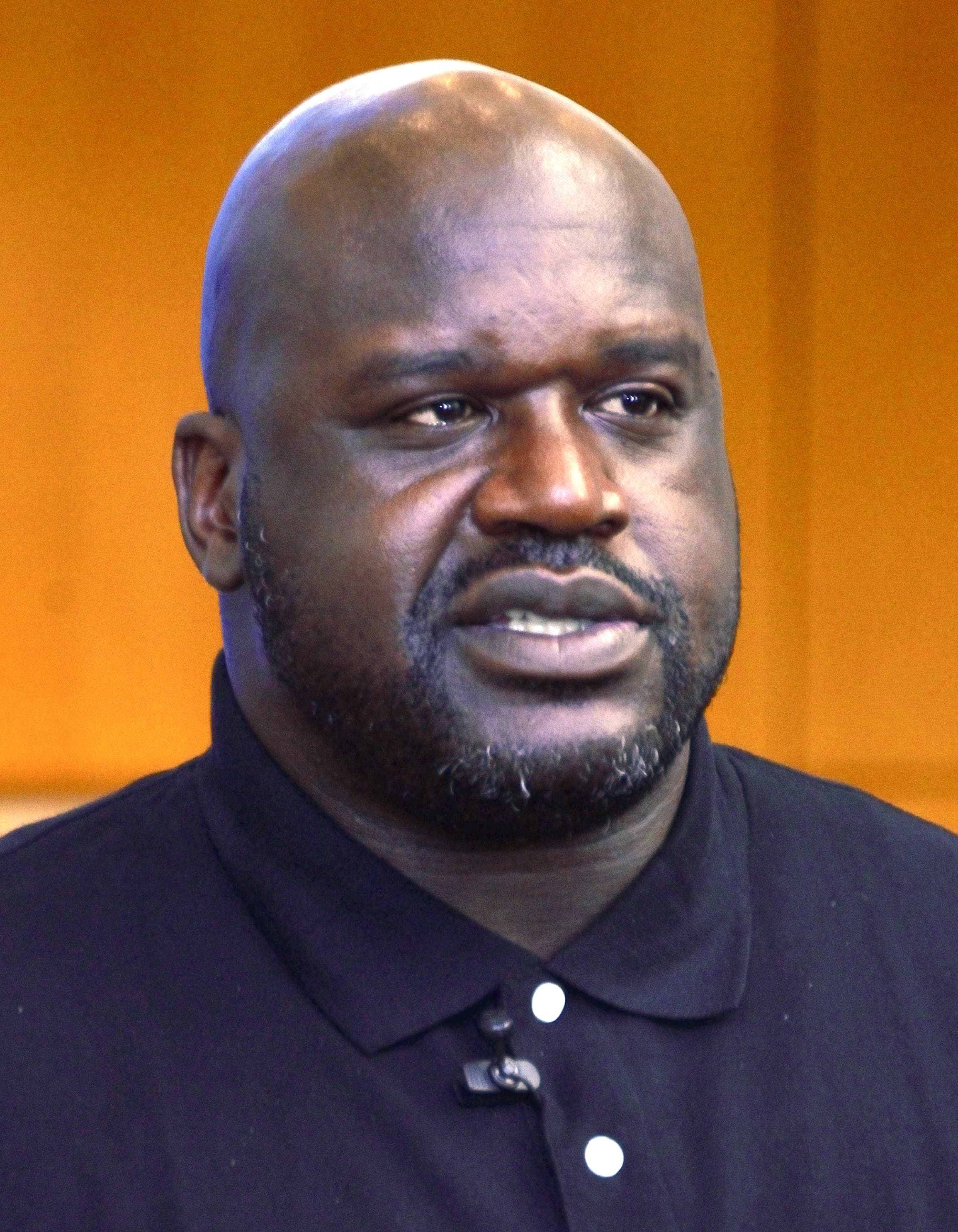 #17 Shaquille O’Neal image