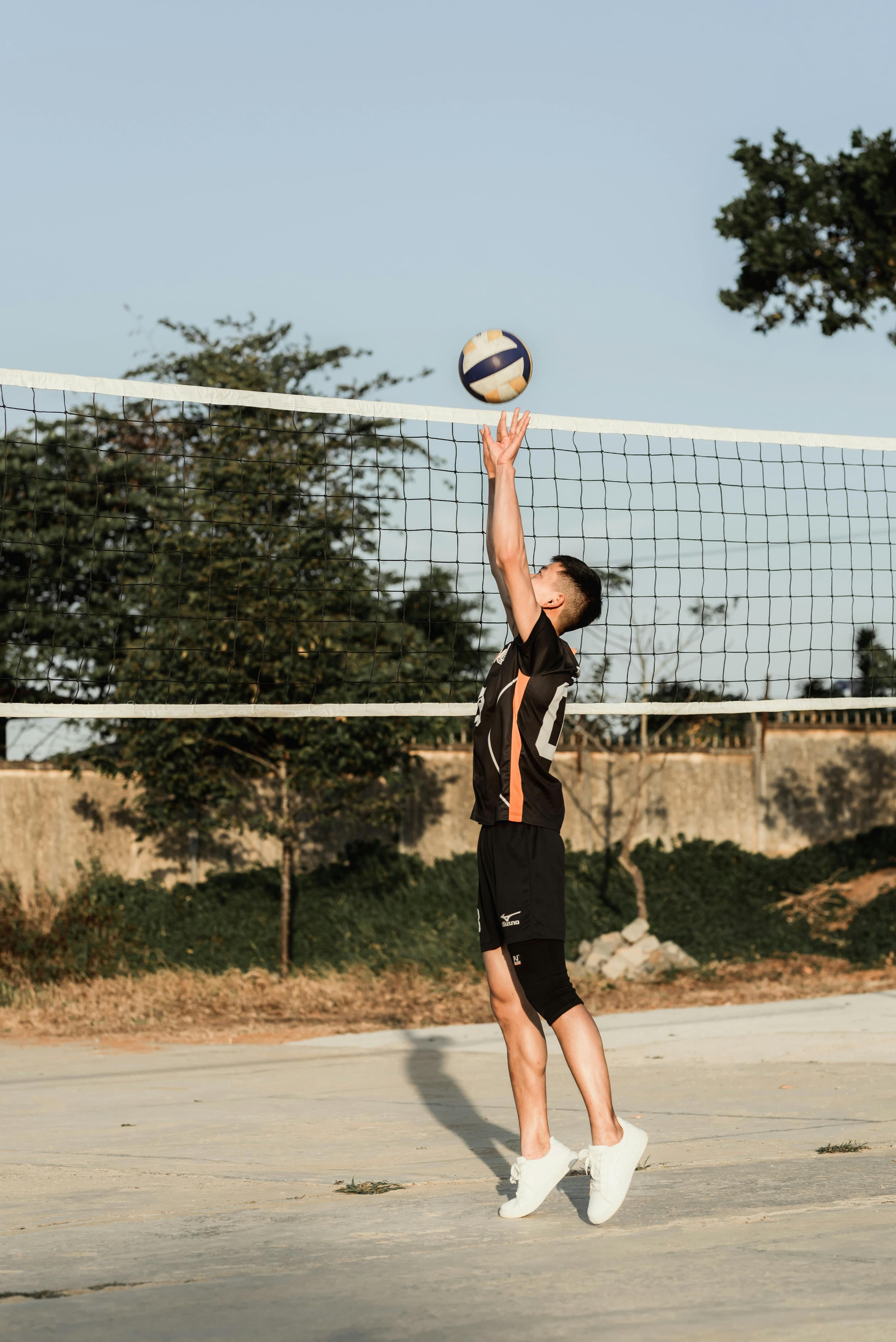 Volleyball image